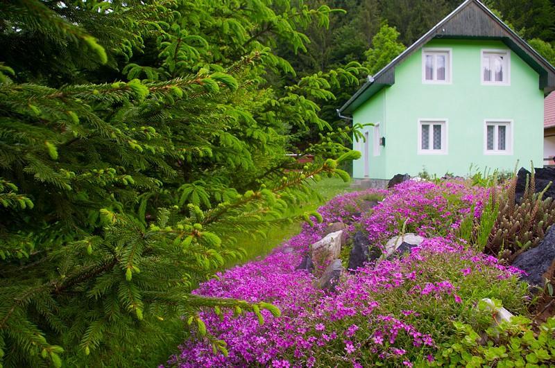 Pataki Kulcsoshaz Villa Izvoare  Ngoại thất bức ảnh